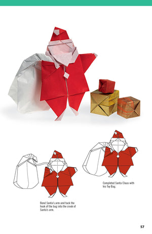 Extraordinary Origami: 20 Projects from Contemporary American Masters (Fox Chapel Publishing) StepbyStep Instructions for Frog,Used