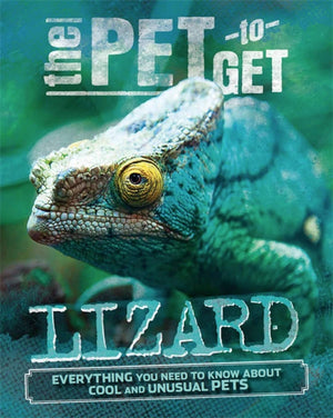 The Pet To Get: Lizard