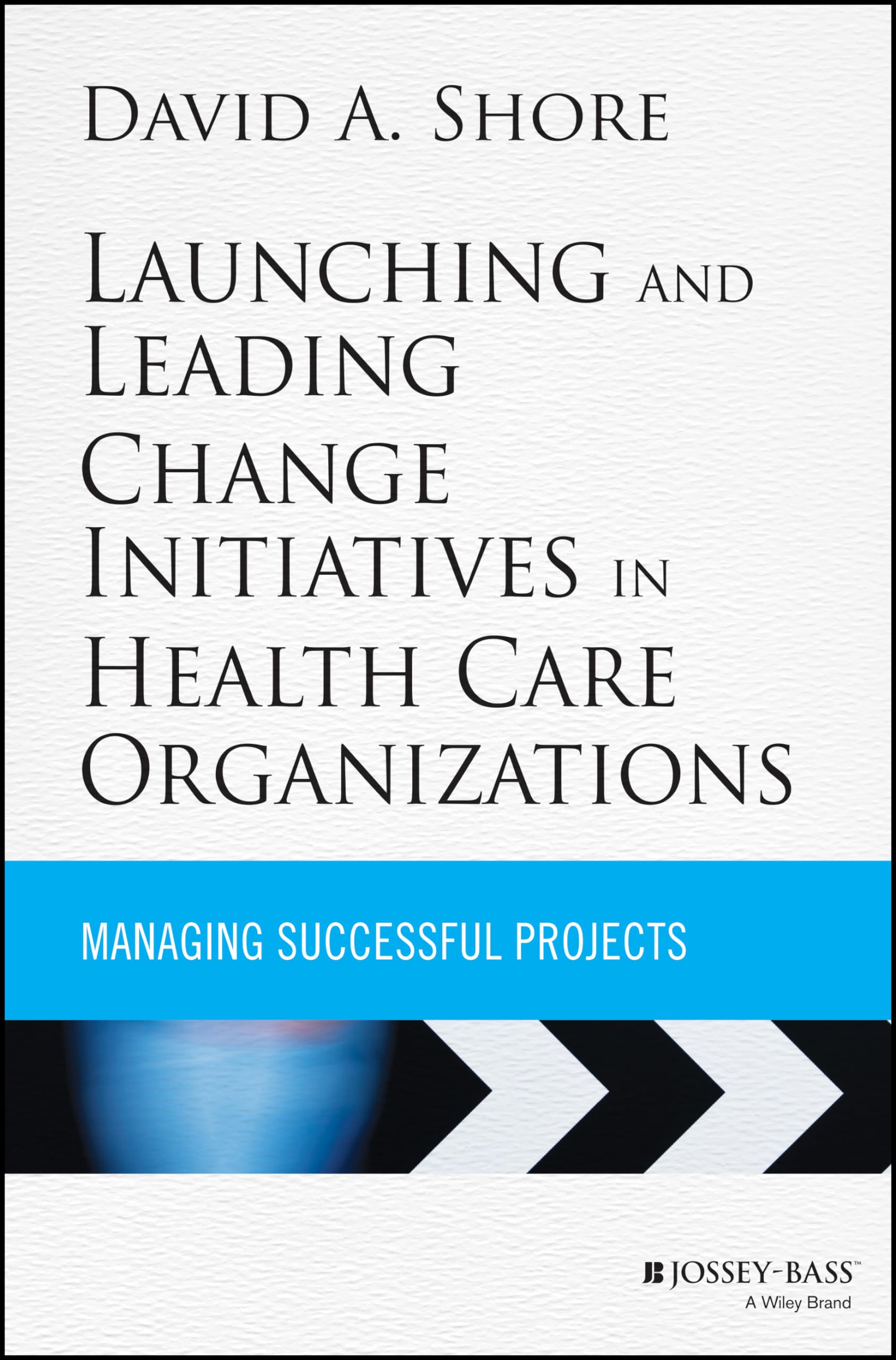 Launching and Leading Change Initiatives in Health Care Organizations: Managing Successful Projects (JosseyBass Public Health),Used