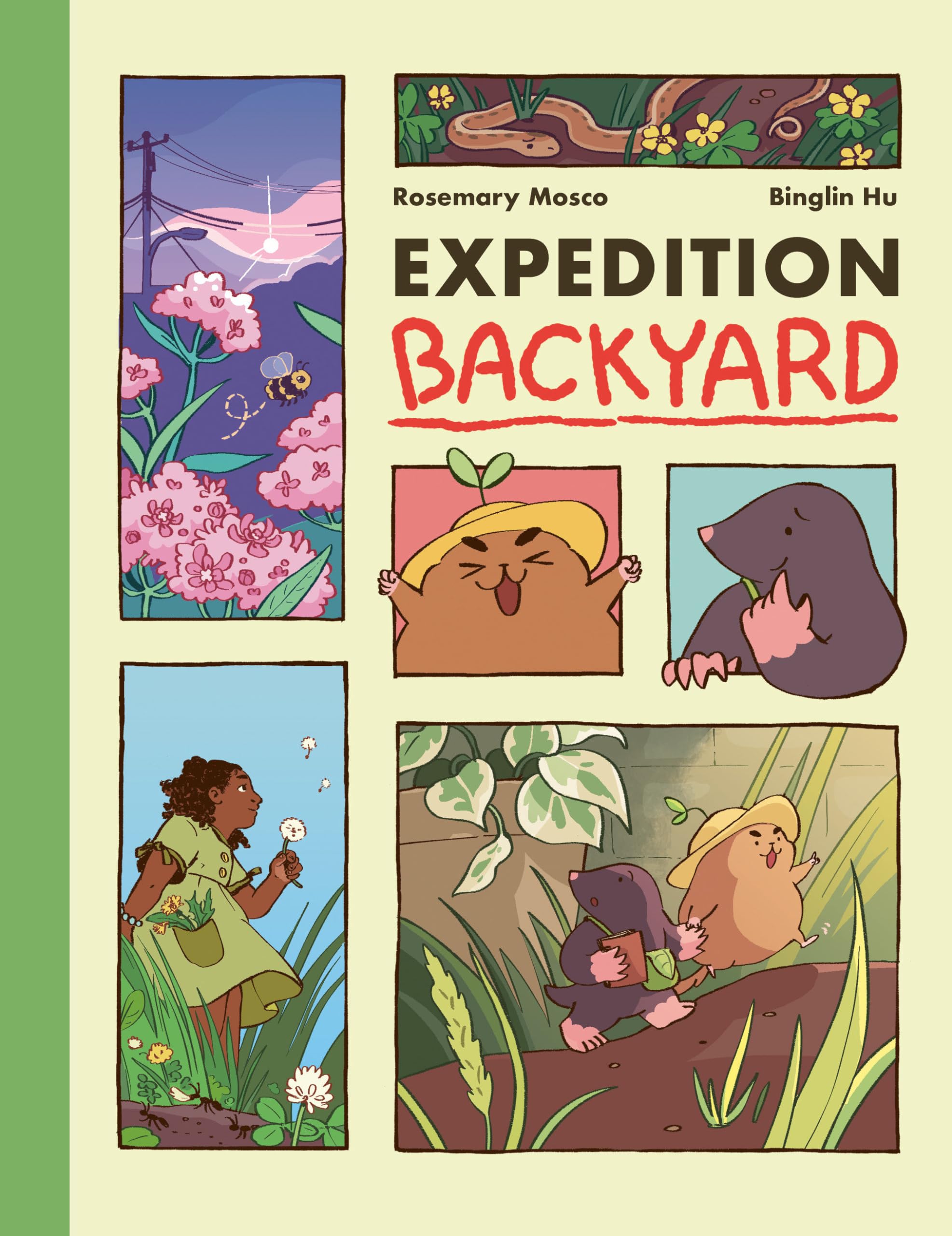 Expedition Backyard: Exploring Nature From Country To City (A Graphic Novel),Used