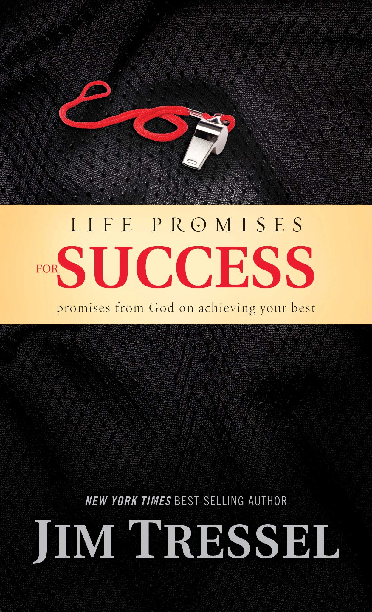 Life Promises for Success: Promises from God on Achieving Your Best,Used