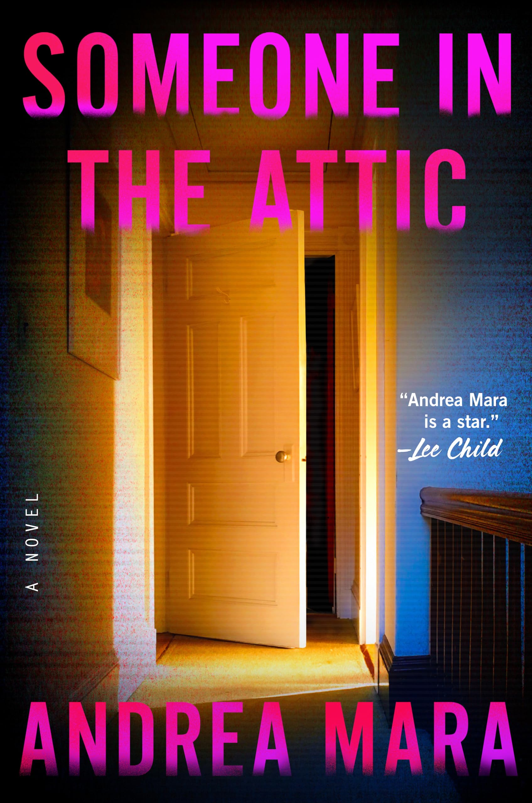 Someone In The Attic: A Novel,Used