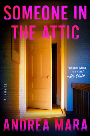 Someone In The Attic: A Novel,Used