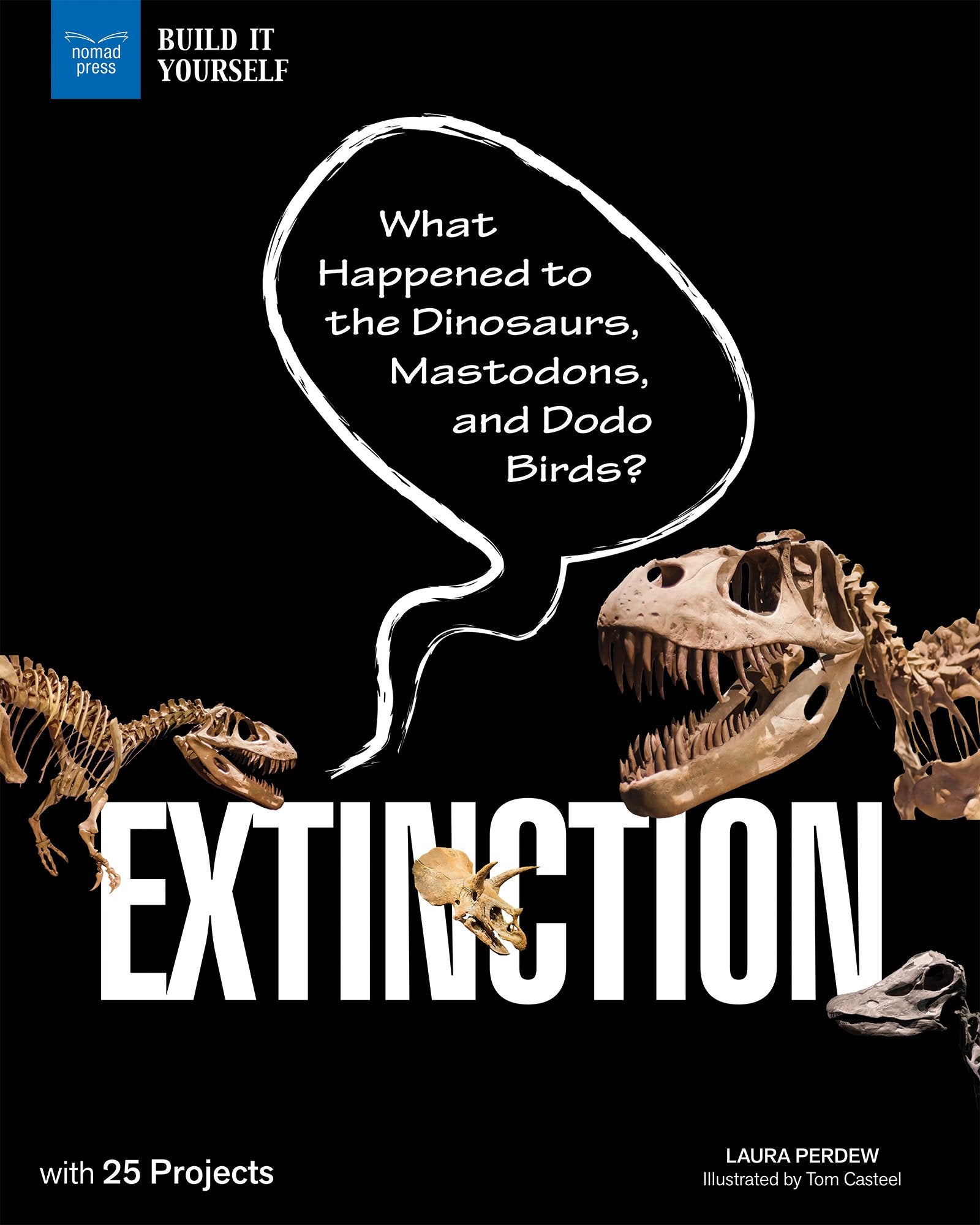 Extinction: What Happened to the Dinosaurs, Mastodons, and Dodo Birds? With 25 Projects,Used