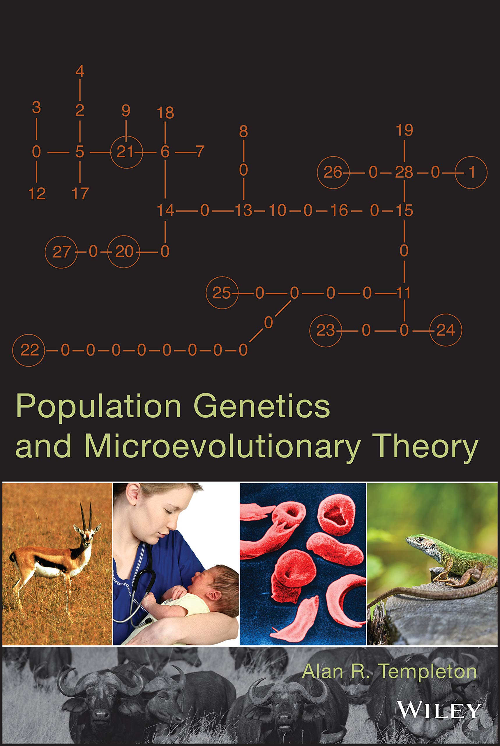 Population Genetics and Microevolutionary Theory,Used