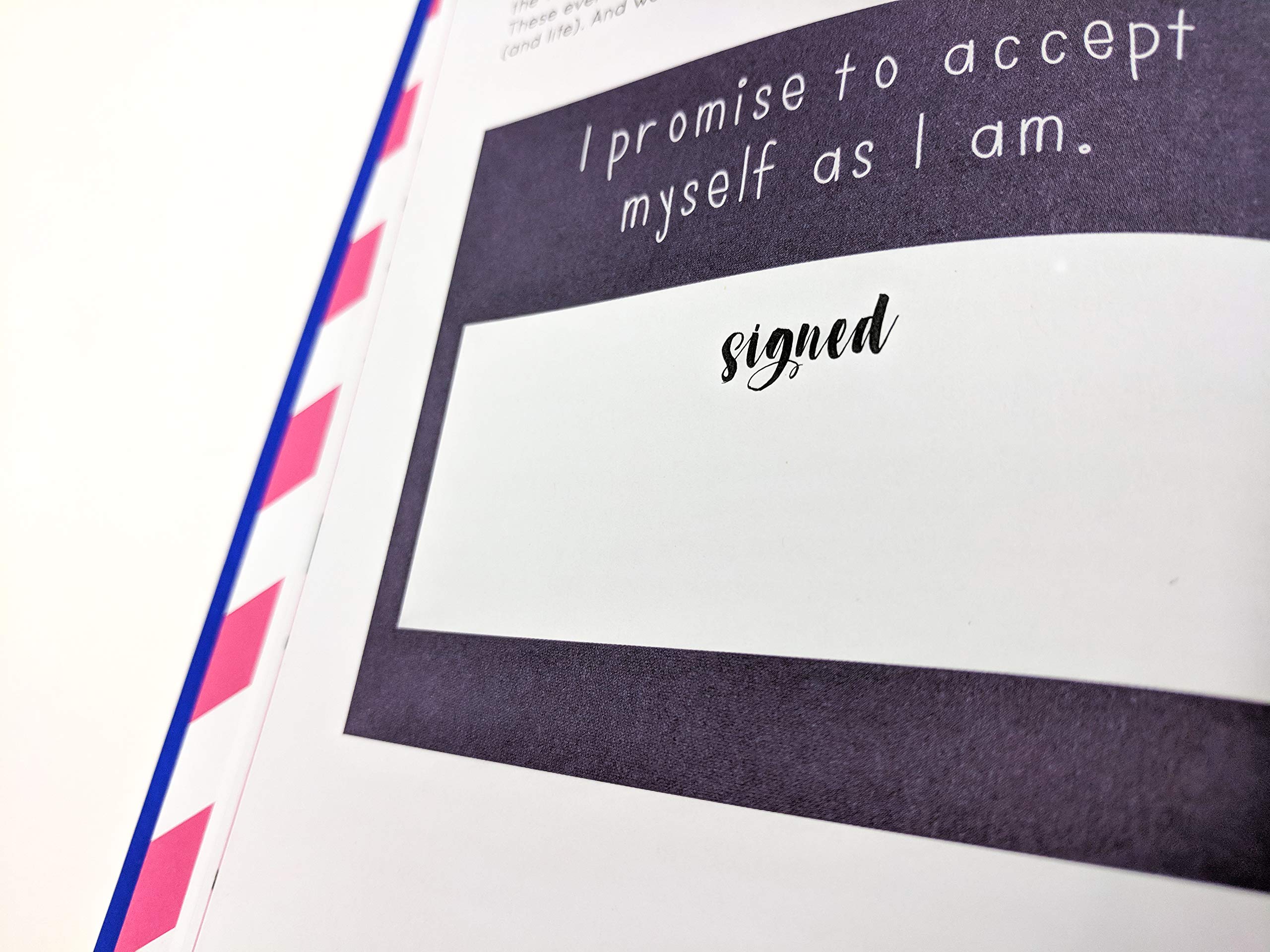 The NotSoNew Mums Notebook,Used