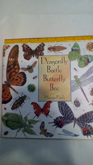 Dragonfly Beetle Butterfly Bee,Used