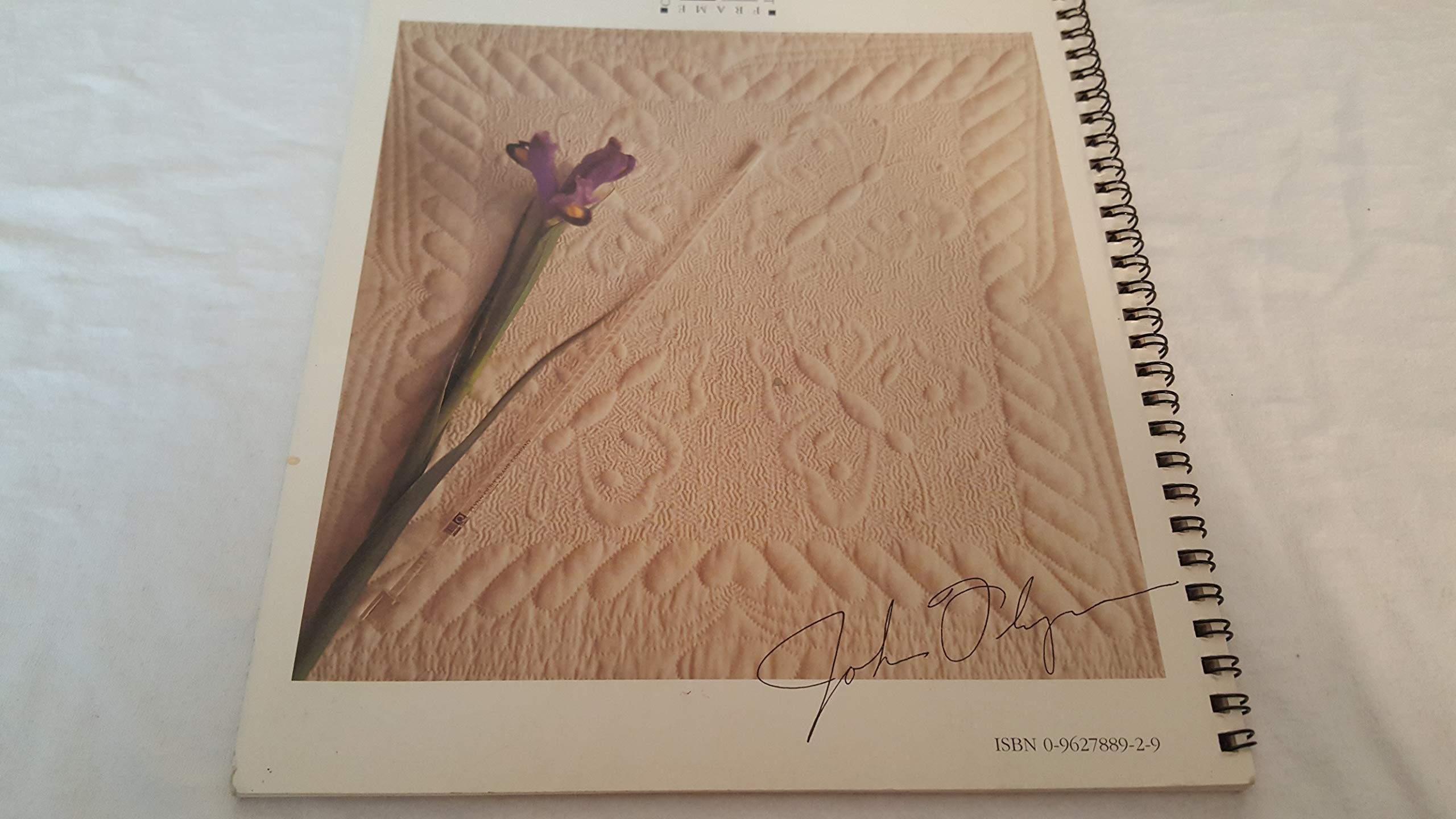 John Flynn's StepbyStep Trapunto & Stippling,Used