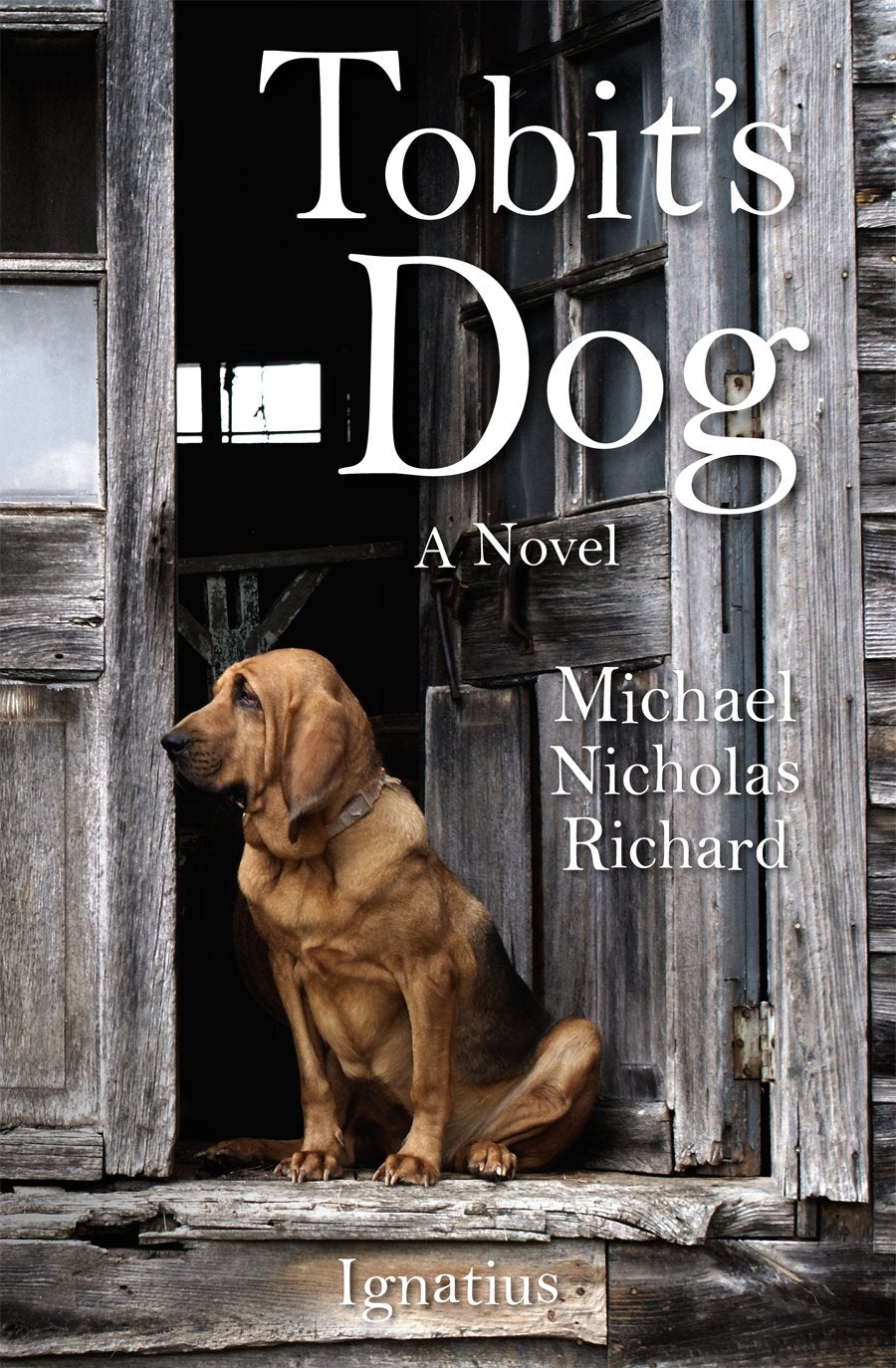 Tobit's Dog: A Novel,Used