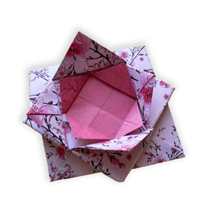 Origami Paper 500 Sheets Cherry Blossoms 6' (15 Cm): Tuttle Origami Paper: Doublesided Origami Sheets Printed With 12 Different,Used
