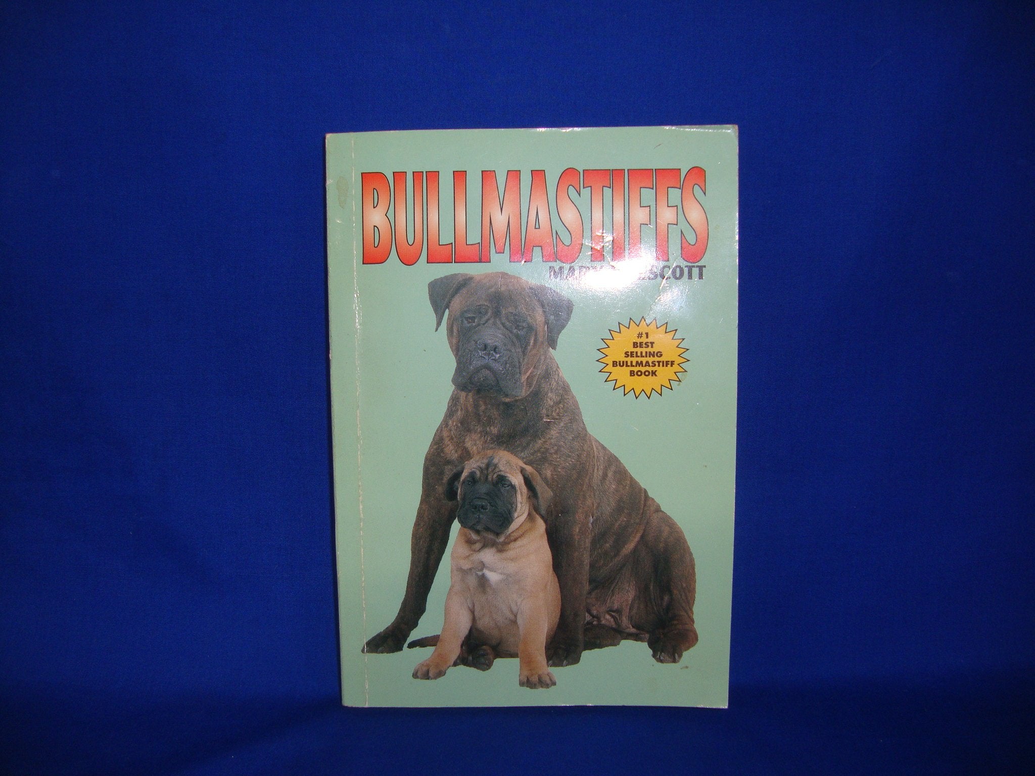 Bullmastiffs,Used
