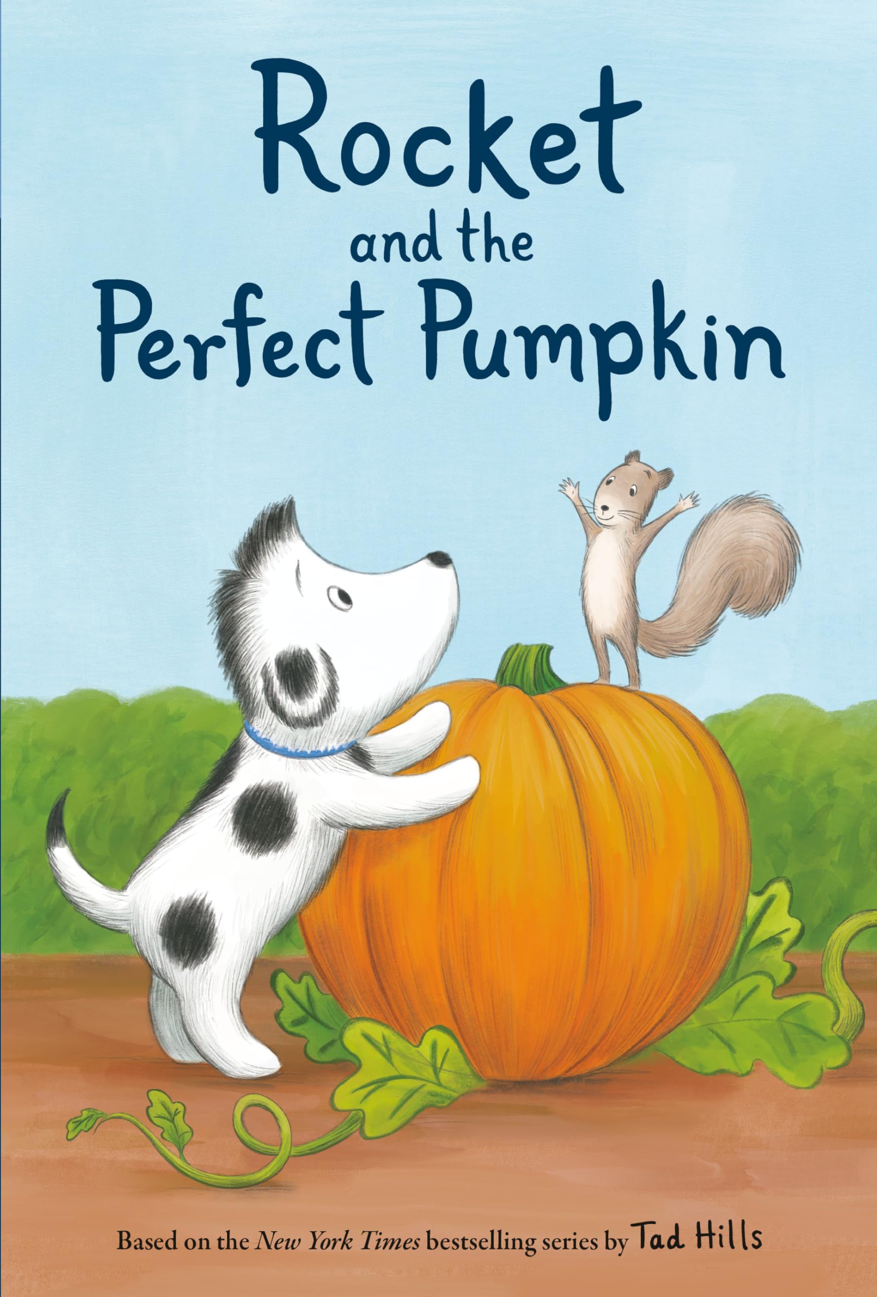 Rocket and the Perfect Pumpkin,Used