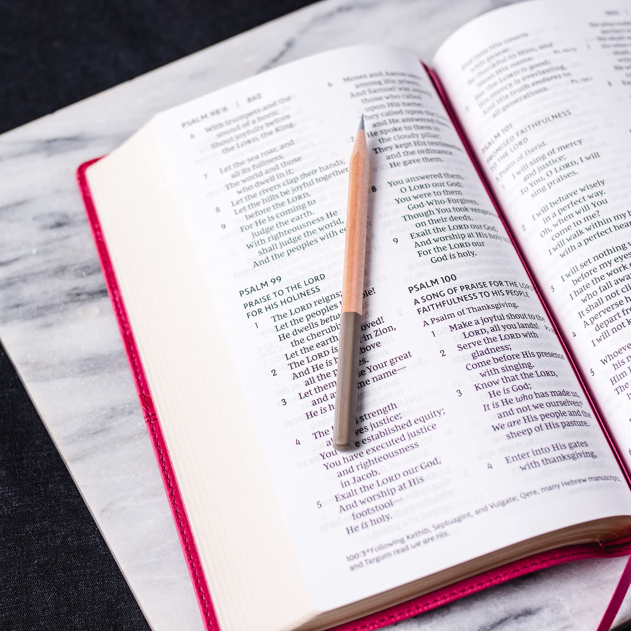 NKJV, Deluxe EndofVerse Reference Bible, Personal Size Large Print, Leathersoft, Black, Thumb Indexed, Red Letter, Comfort Pri,Used