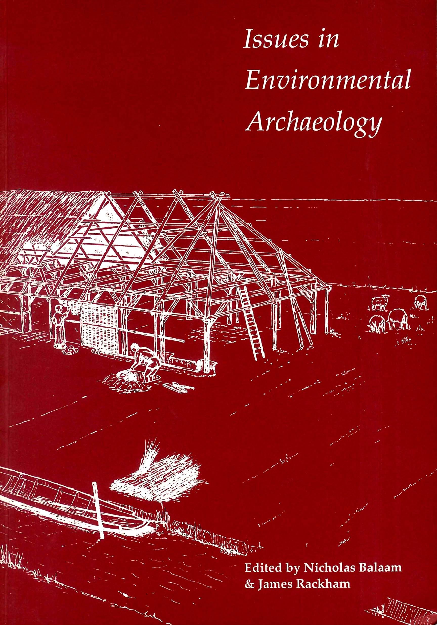 Issues in Environmental Archaeology: Perspectives on its Archaeological and Public Role (UCL Institute of Archaeology Publicatio,Used
