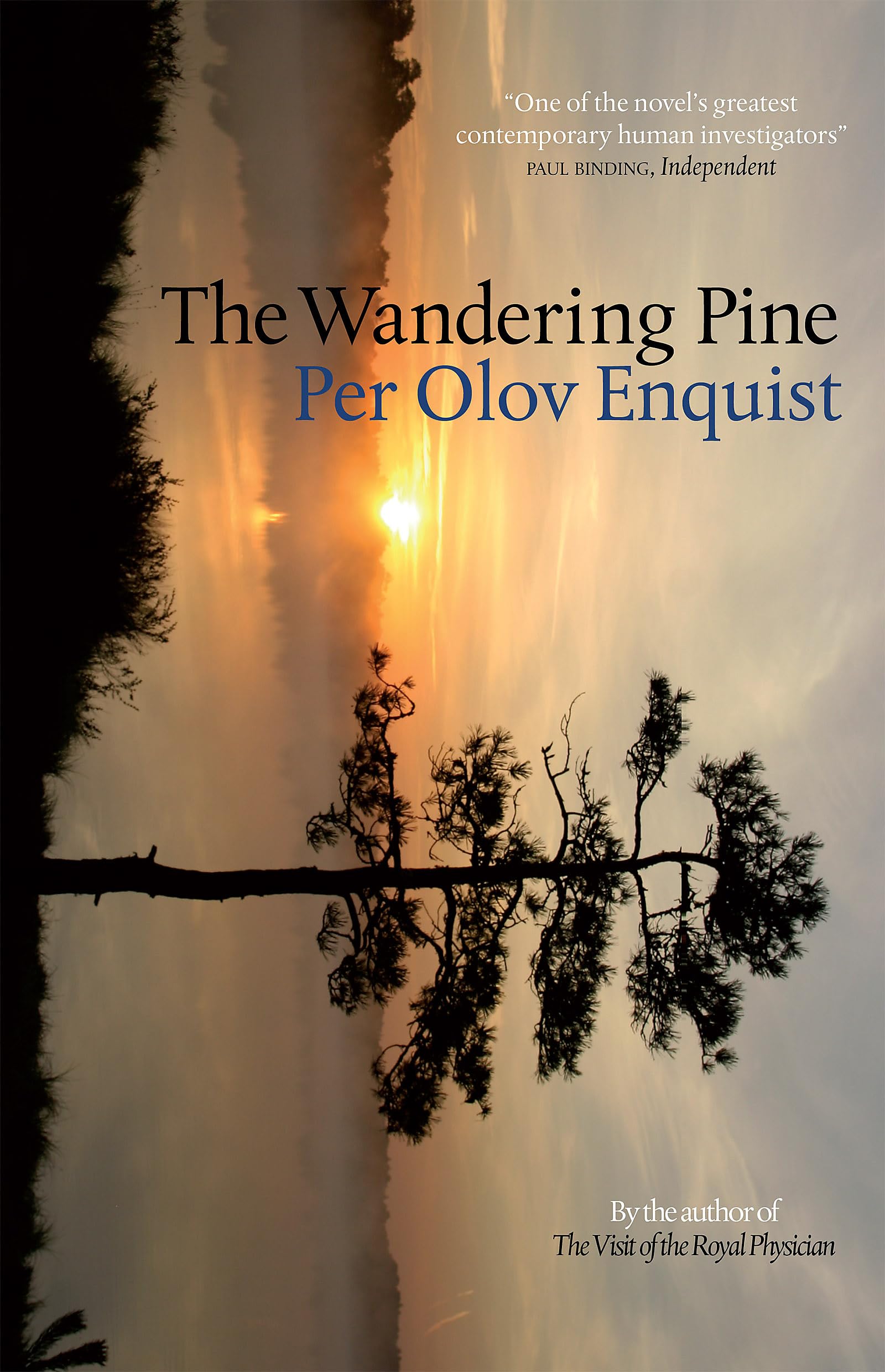 The Wandering Pine: Life As A Novel