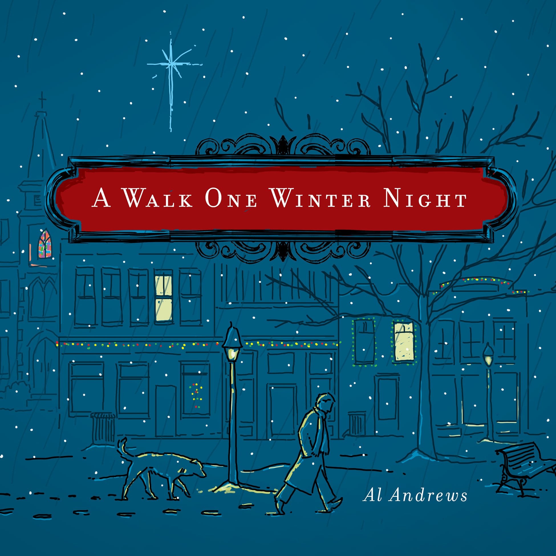 A Walk One Winter Night: A Real Christmas Story,Used
