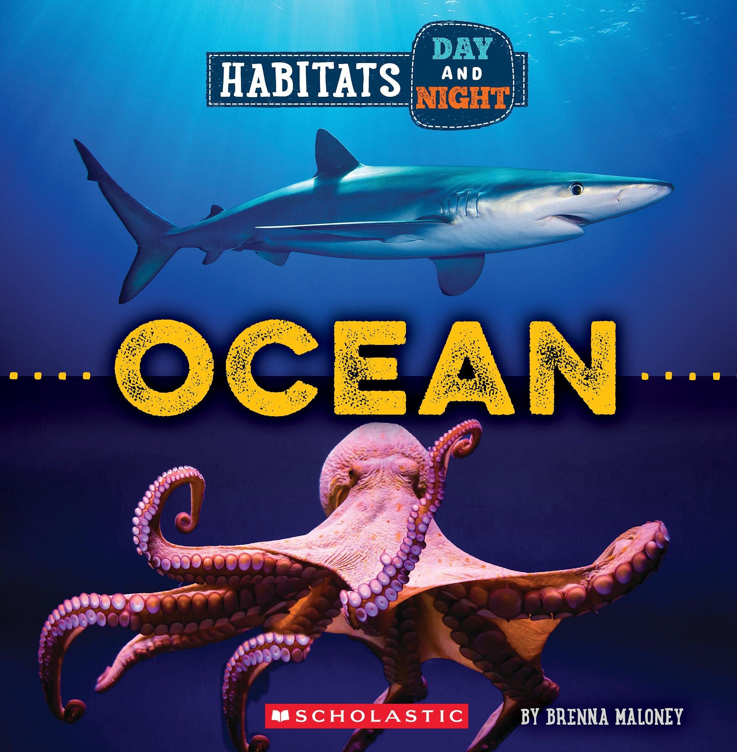 Ocean (Wild World: Habitats Day And Night),New
