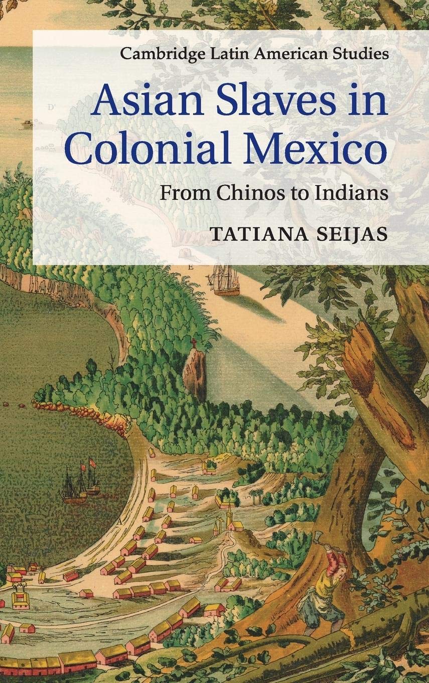 Asian Slaves in Colonial Mexico: From Chinos to Indians (Cambridge Latin American Studies, Series Number 100),Used