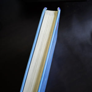 Conceptual Physics Se 1999c,Used