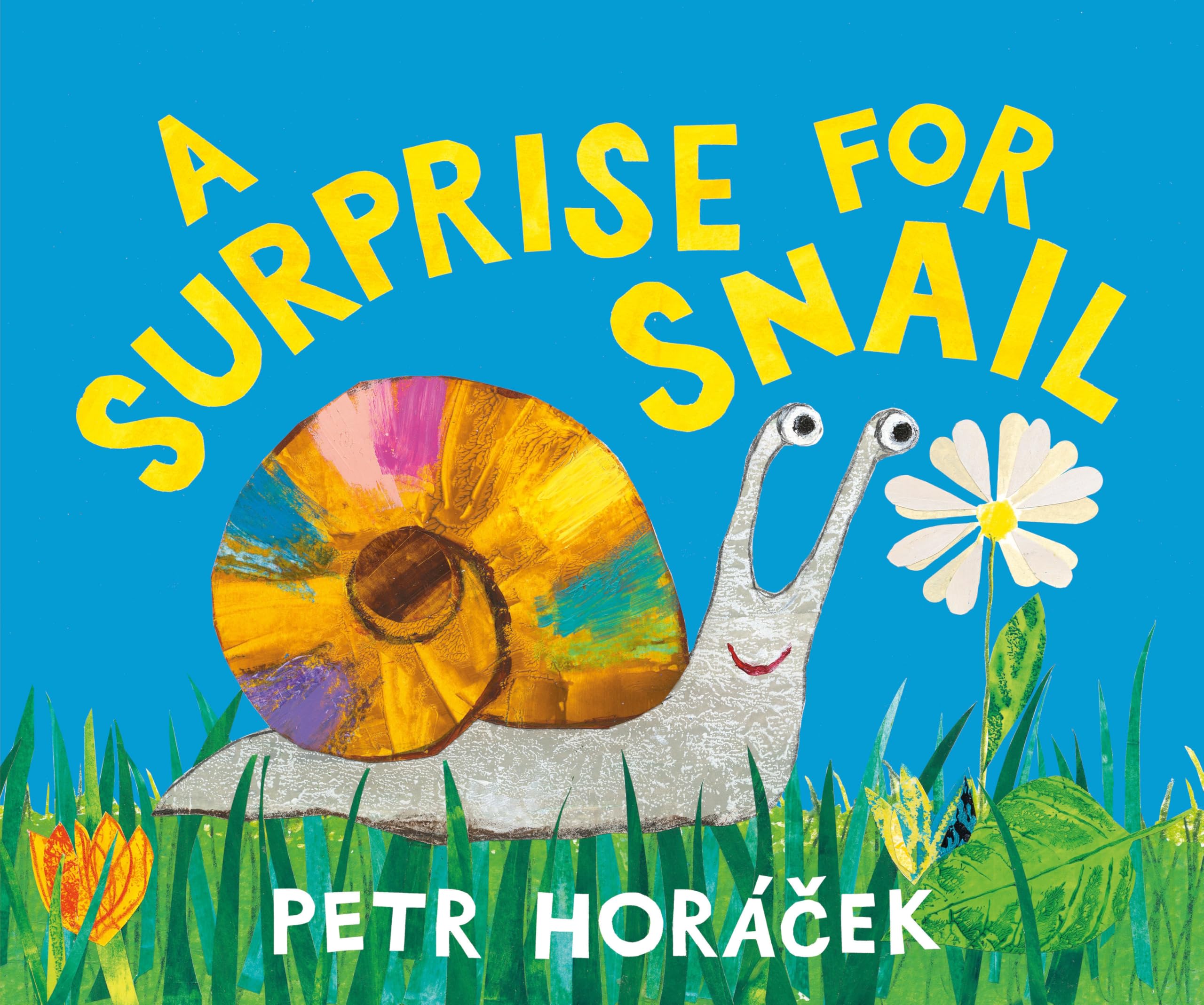 A Surprise For Snail