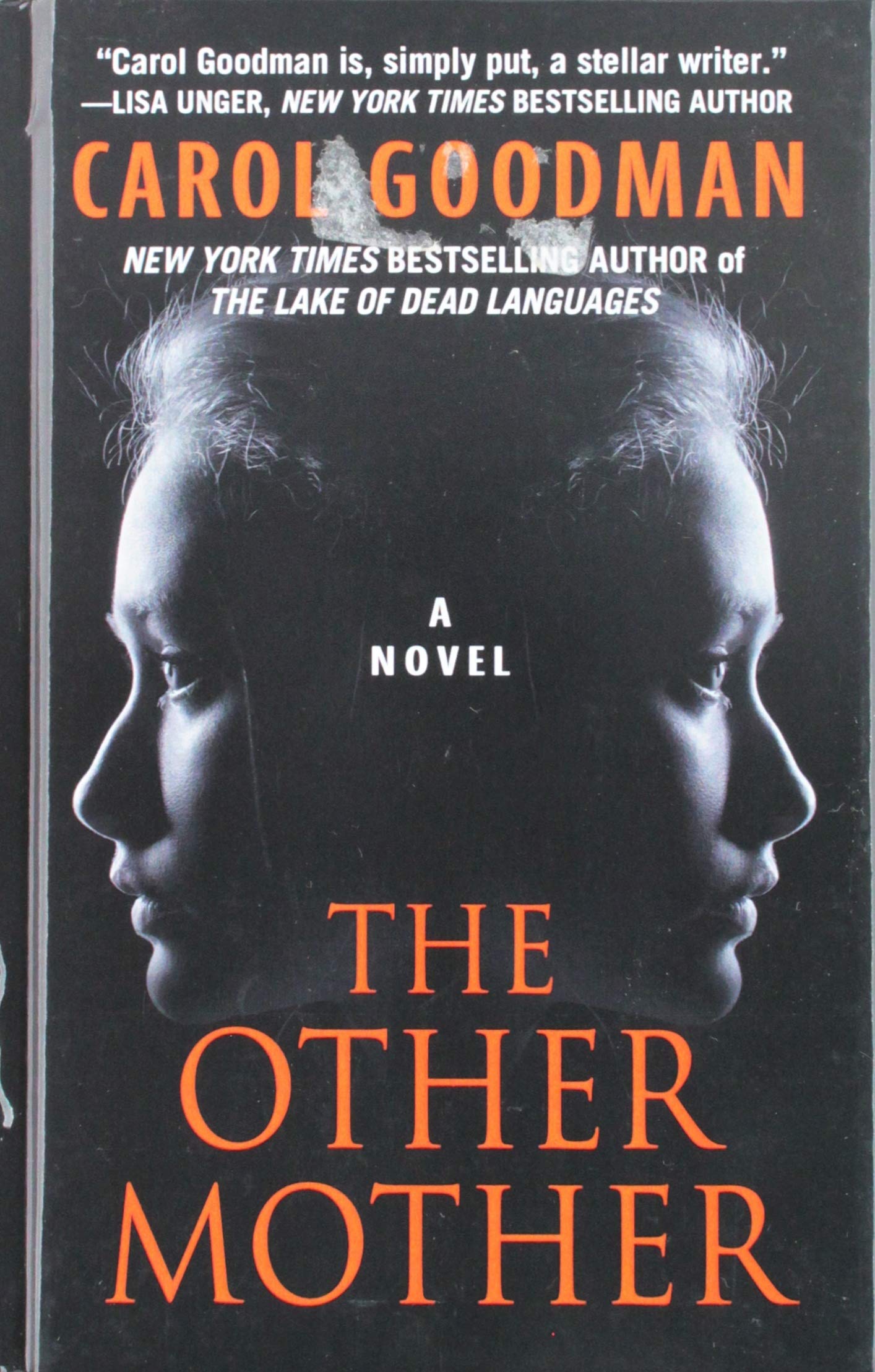 The Other Mother (Thorndike Press Large Print Core),Used