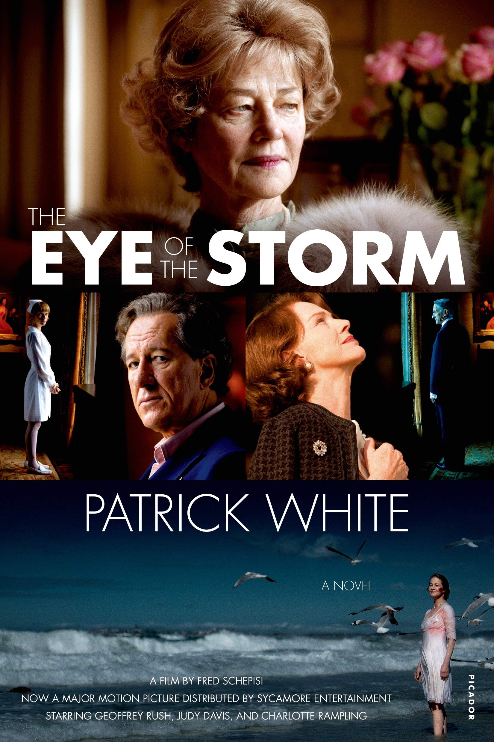The Eye of the Storm: A Novel,Used