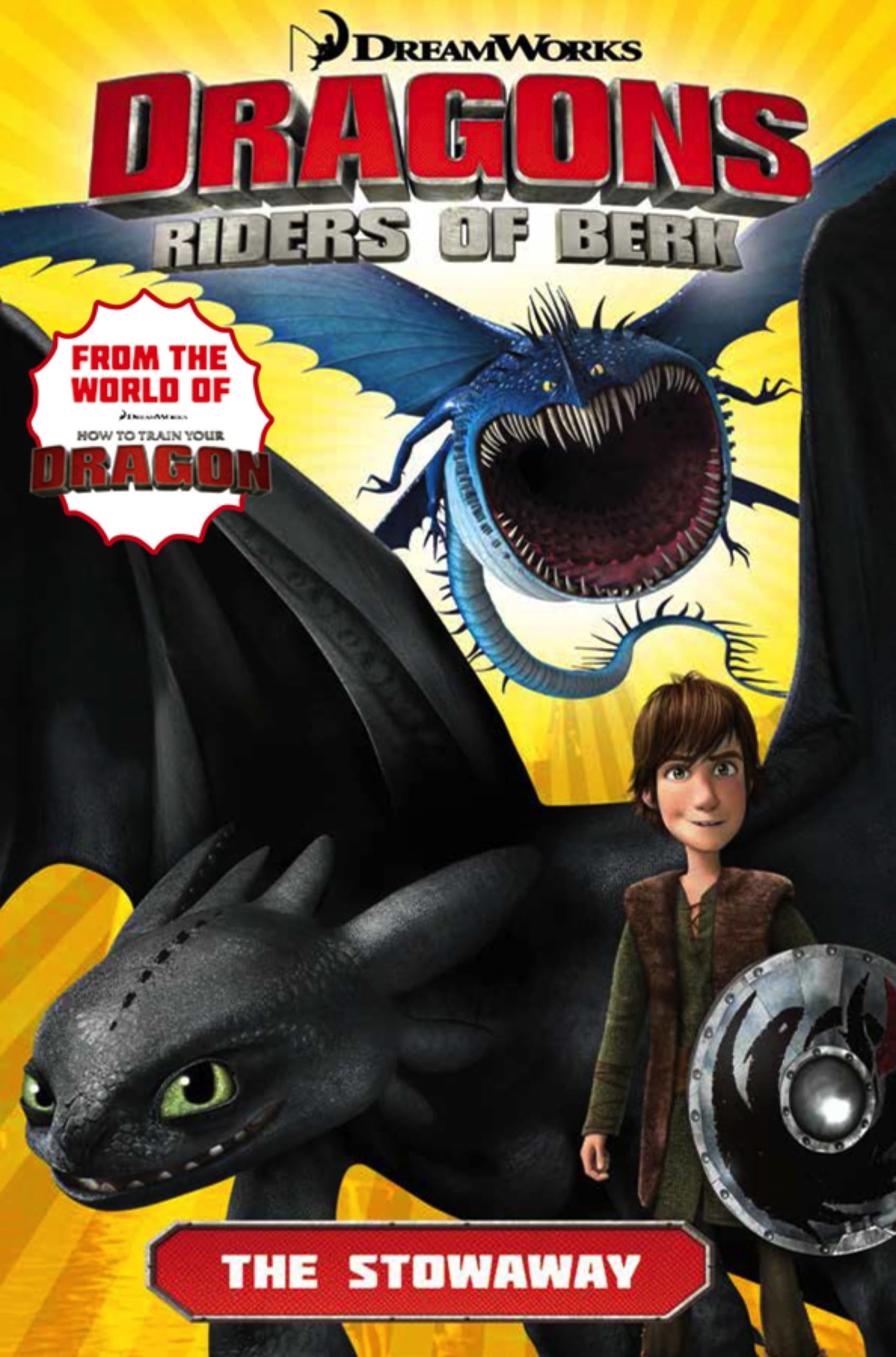 Dragons Riders of Berk: The Stowaway,Used