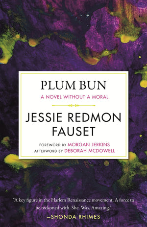 Plum Bun: A Novel Without A Moral (Celebrating Black Women Writers)-new