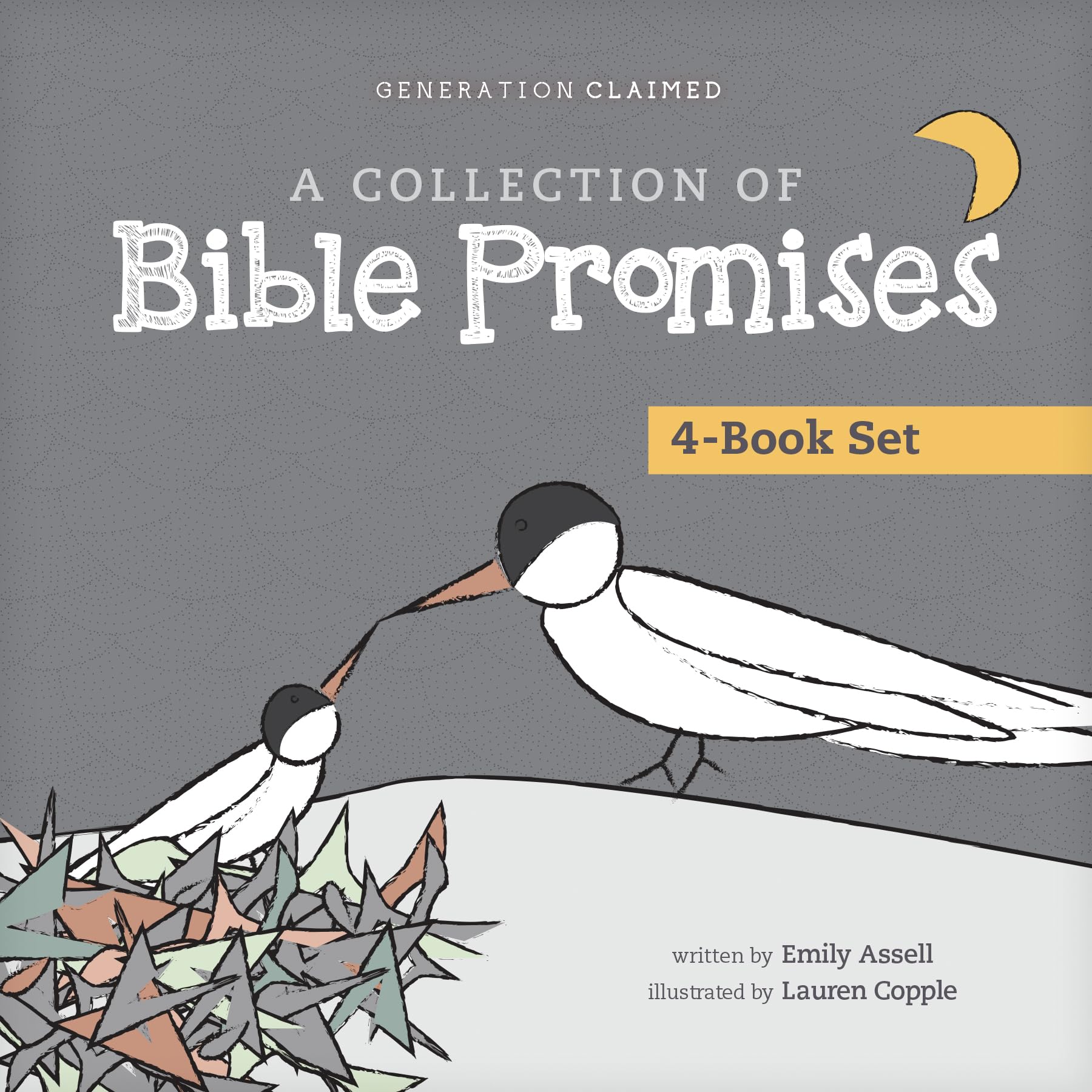 A Collection Of Bible Promises 4Book Set: When It Hurts / You Are / Tonight / Chosen (Generation Claimed)