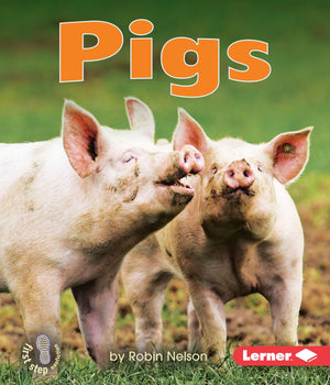Pigs (First Step Nonfiction  Farm Animals),New