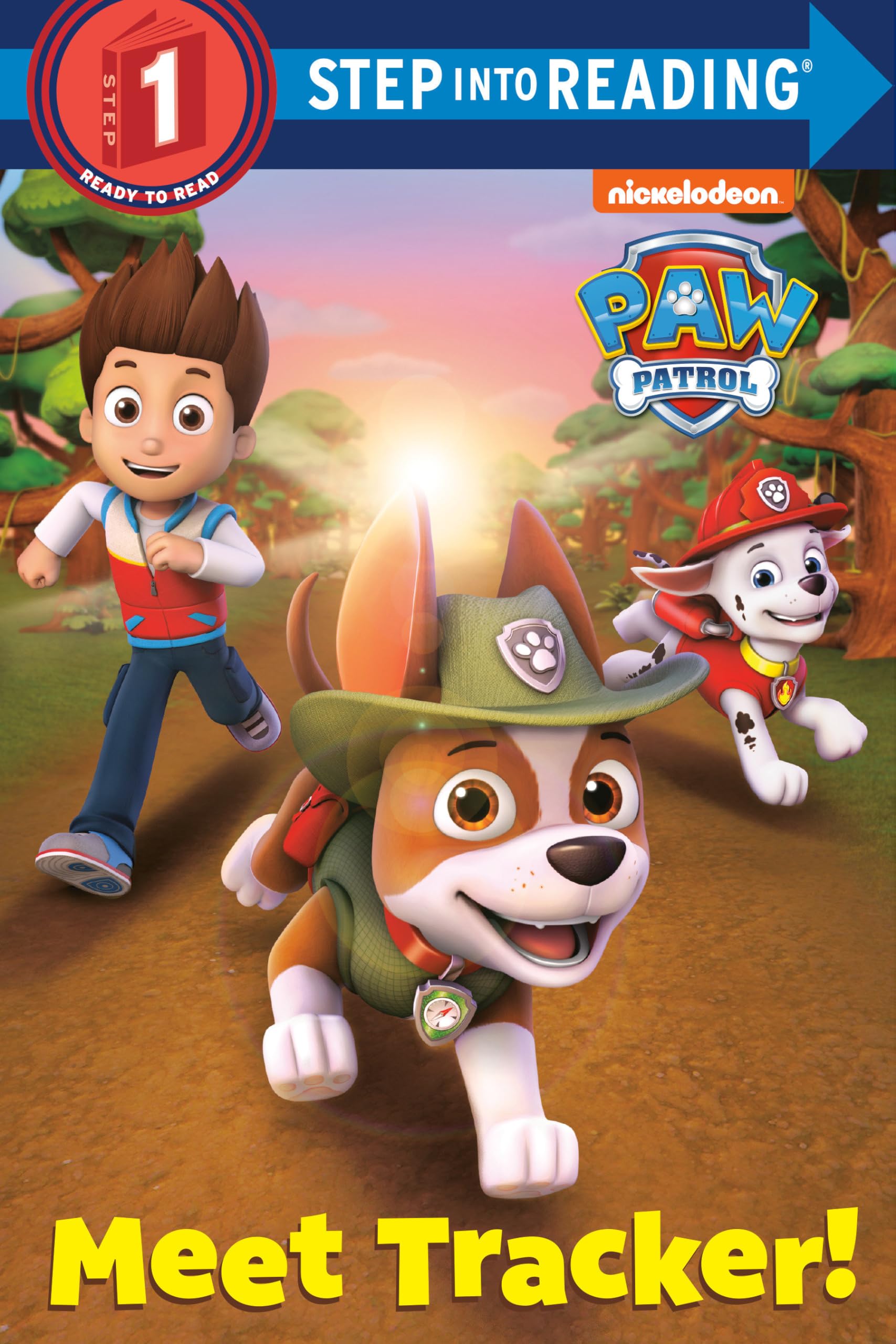 Paw Patrol Deluxe Step Into Reading (Paw Patrol)-used