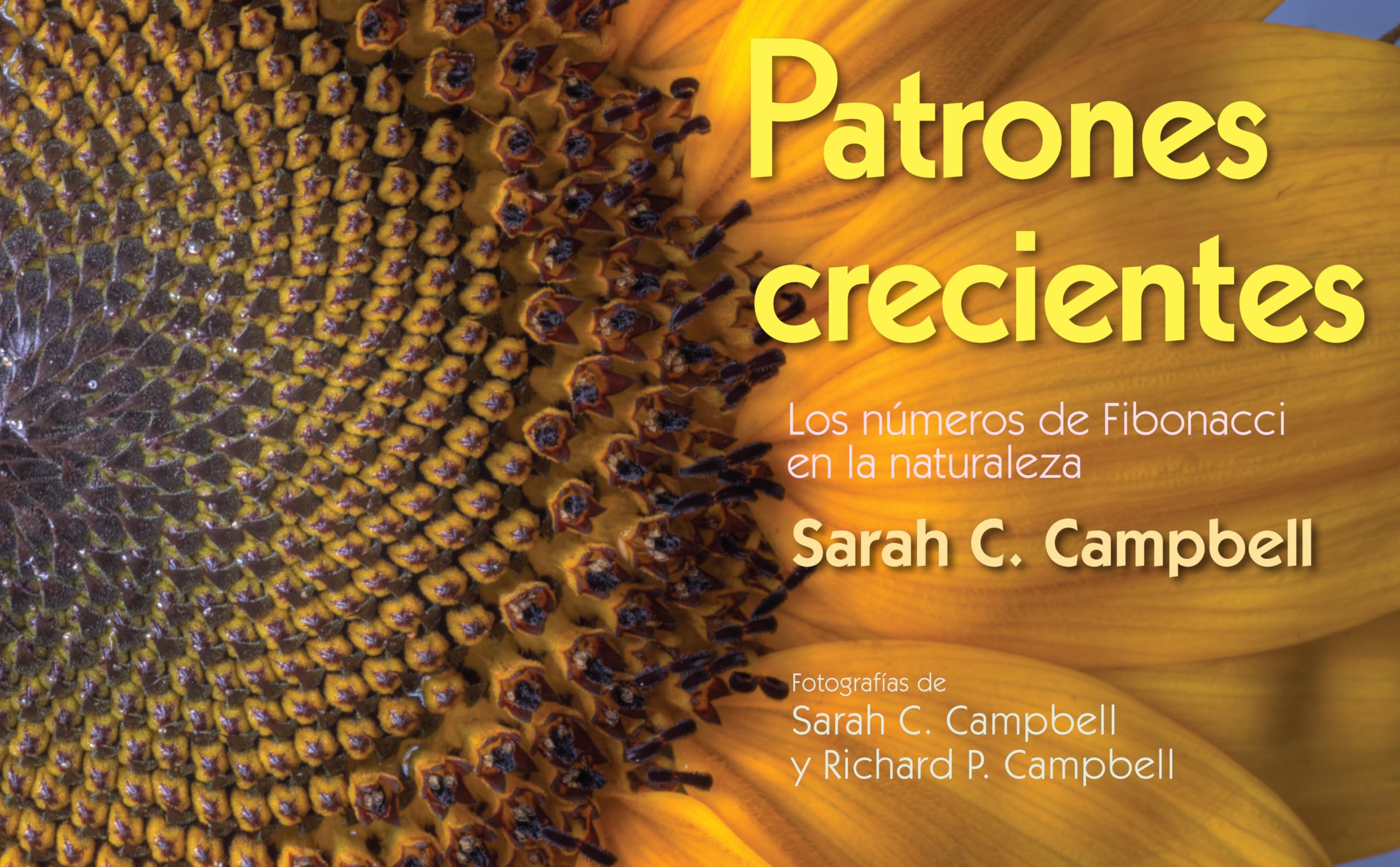 Patrones Crecientes (Growing Patterns): Los nmeros de Fibonacci en la naturaleza (Spanish Edition),New