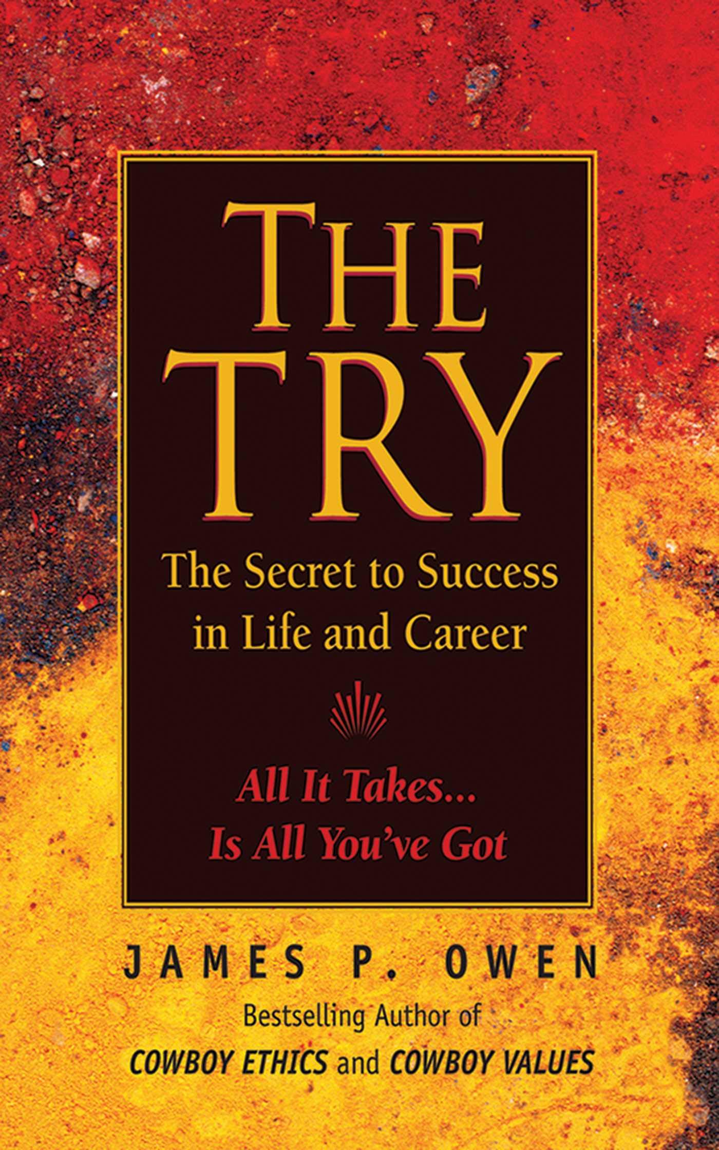 The Try: Reclaiming the American Dream,Used