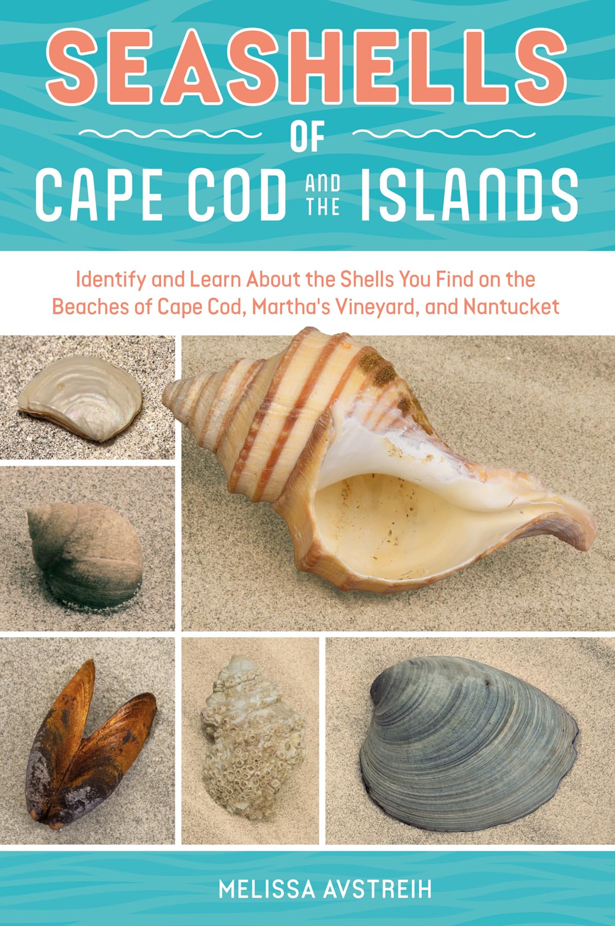 Seashells Of Cape Cod And The Islands: Identify And Learn About The Shells You Find On The Beaches Of Cape Cod, MarthaS Vineya
