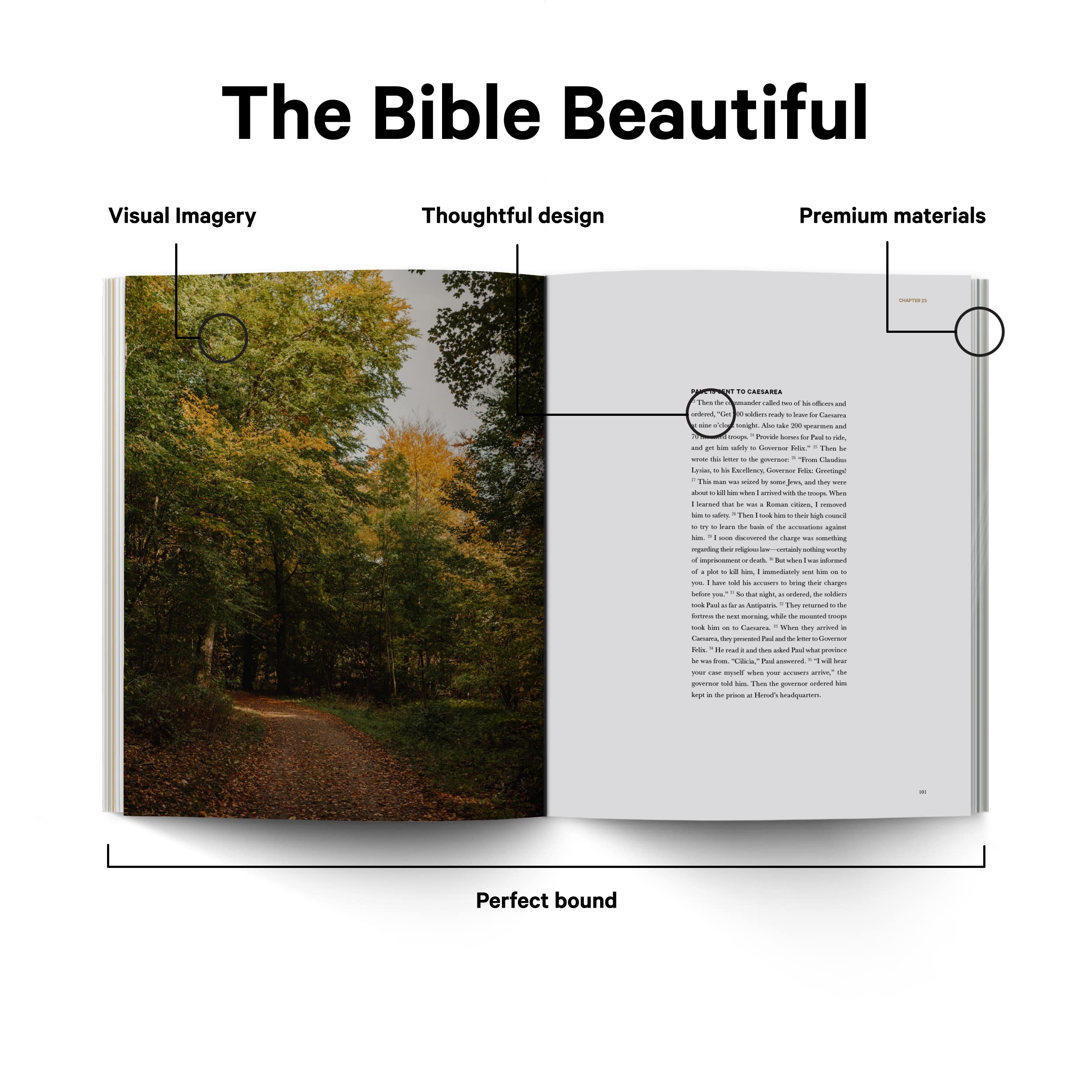 Book of Acts  Alabaster Bible,New