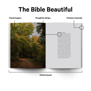 Book of Acts  Alabaster Bible,New