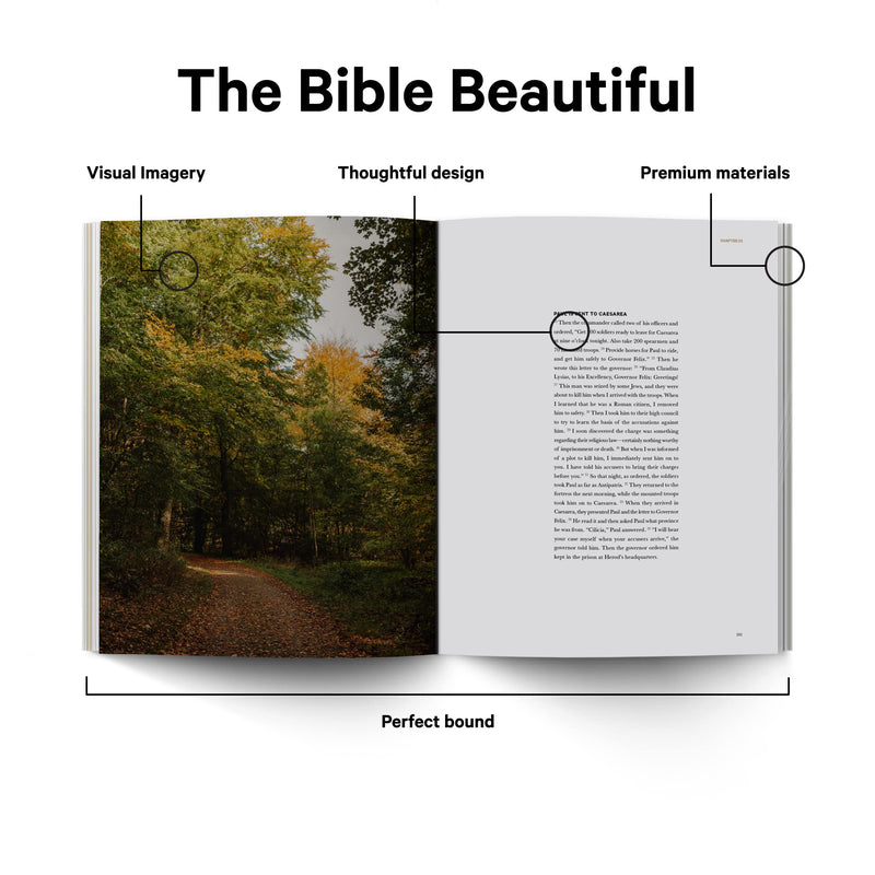 Book of Acts  Alabaster Bible,New