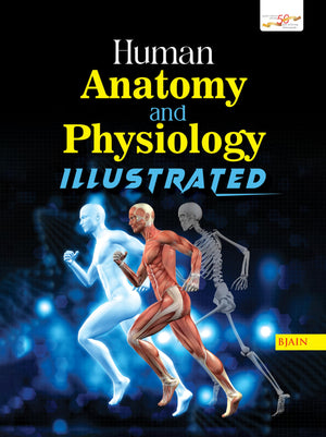 Human Anatomy And Physiology Illustrated