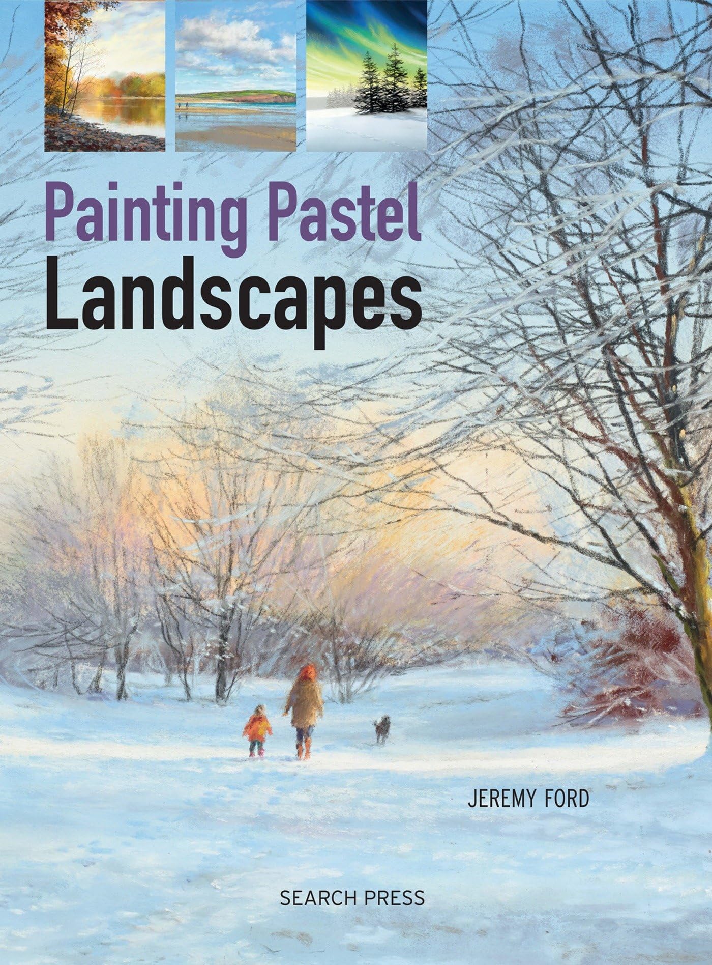 Painting Pastel Landscapes,Used