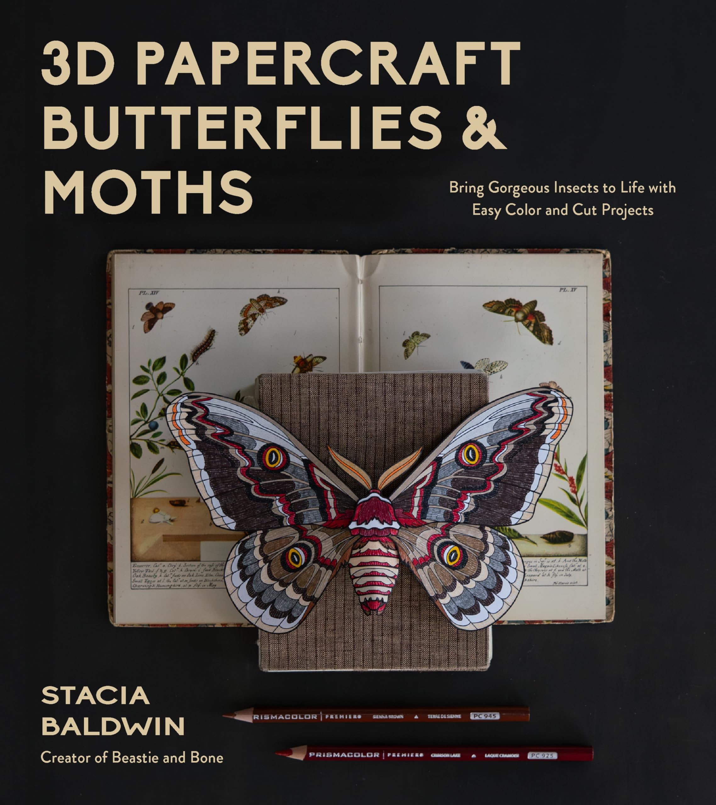 3D Papercraft Butterflies And Moths: Bring Gorgeous Insects To Life With Easy Color And Cut Projects