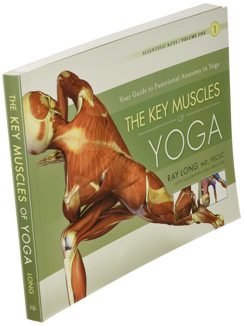 The Key Muscles of Yoga: Scientific Keys, Volume I,Used