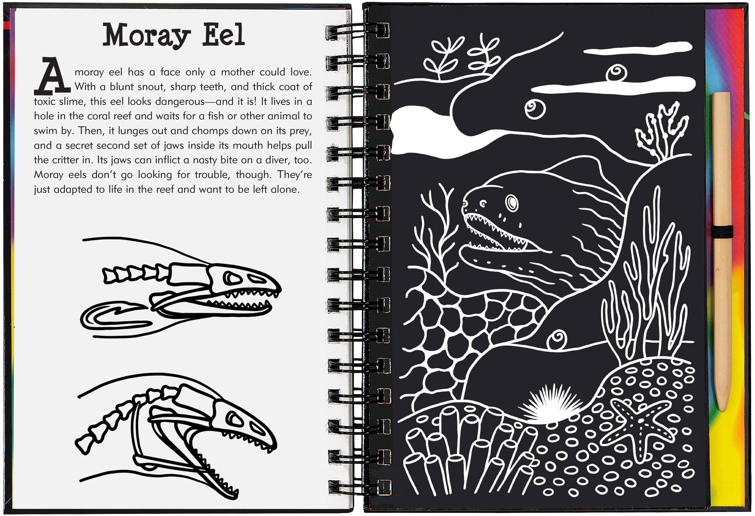 Scratch & Sketch Coral Reefs (Trace Along) (Scratch and Sketch Tracealong),Used