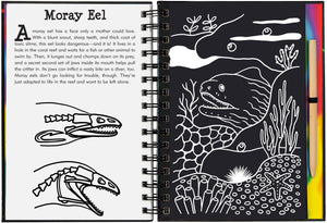 Scratch & Sketch Coral Reefs (Trace Along) (Scratch and Sketch Tracealong),Used