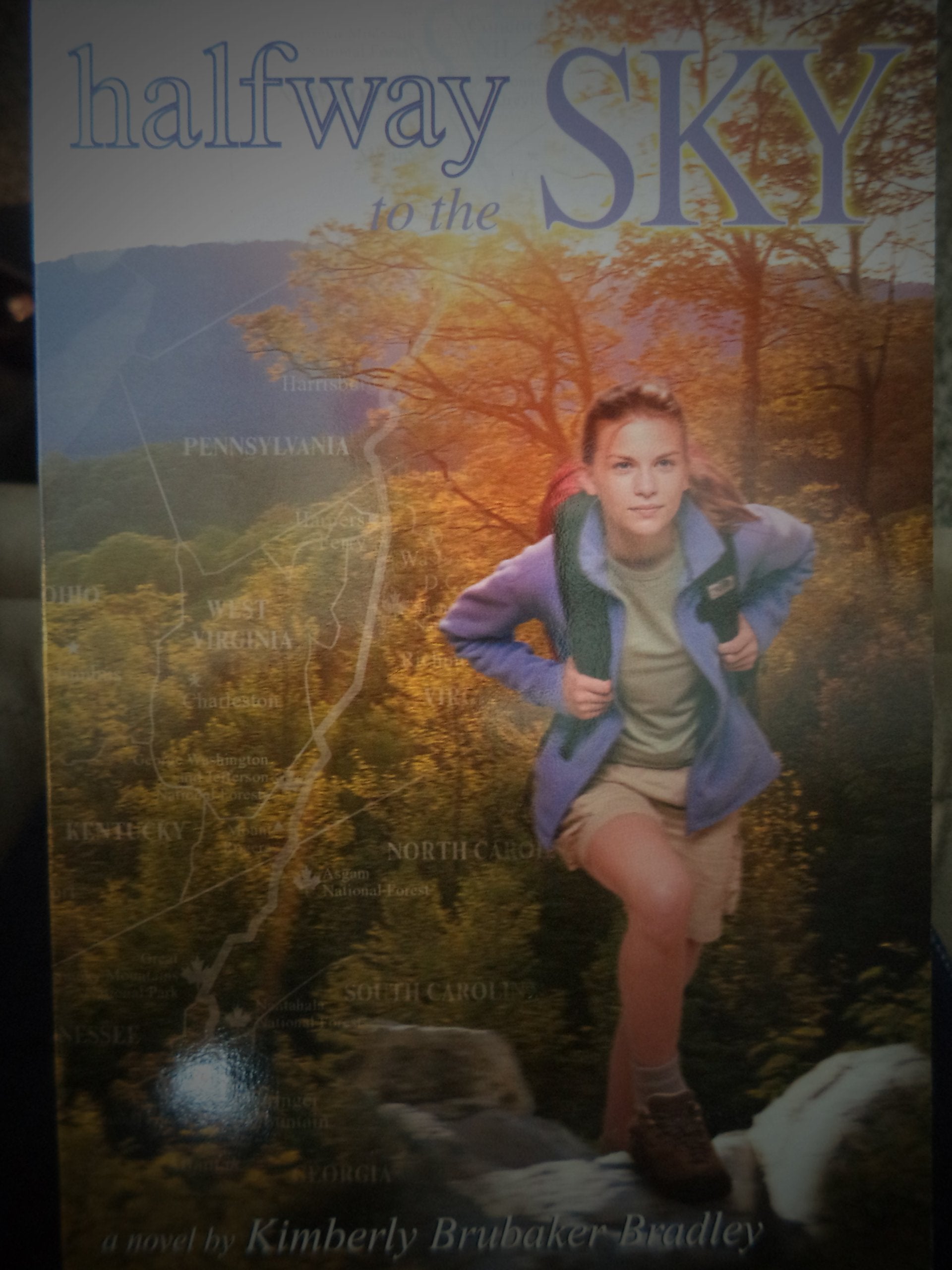 Halfway to the Sky,New