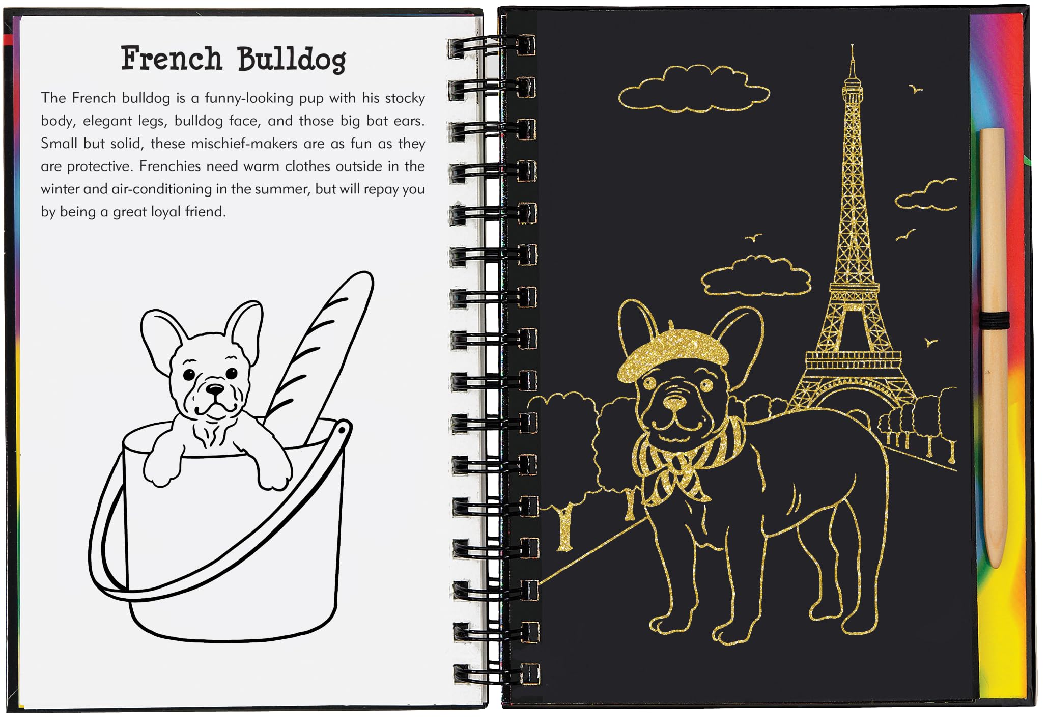 Scratch & Sketch Puppies (Trace Along),Used
