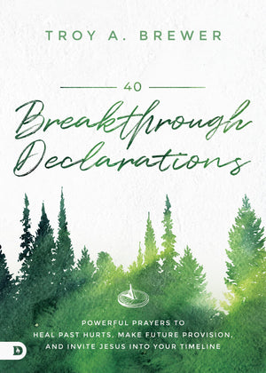40 Breakthrough Declarations: Powerful Prayers to Heal Past Hurts, Make Future Provision, and Invite Jesus into Your Timeline,Used