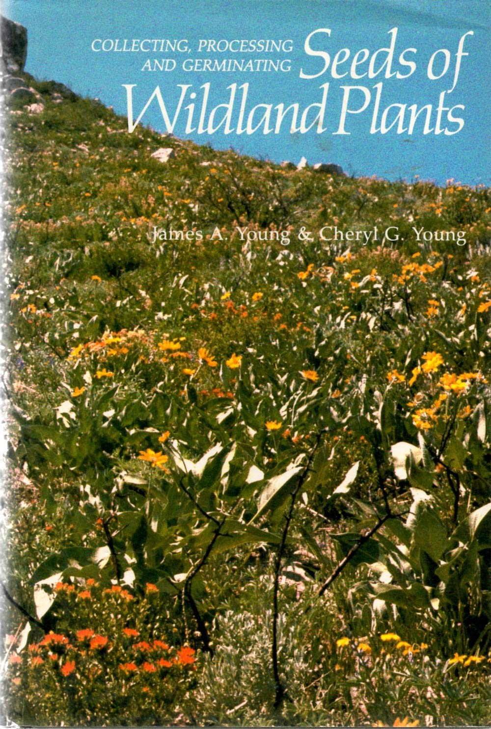 Collecting Processing and Germinating Seeds of Wildland Plants,New