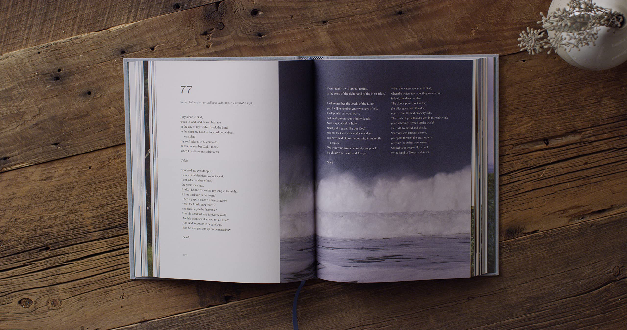 ESV Psalms, Photography Edition,Used