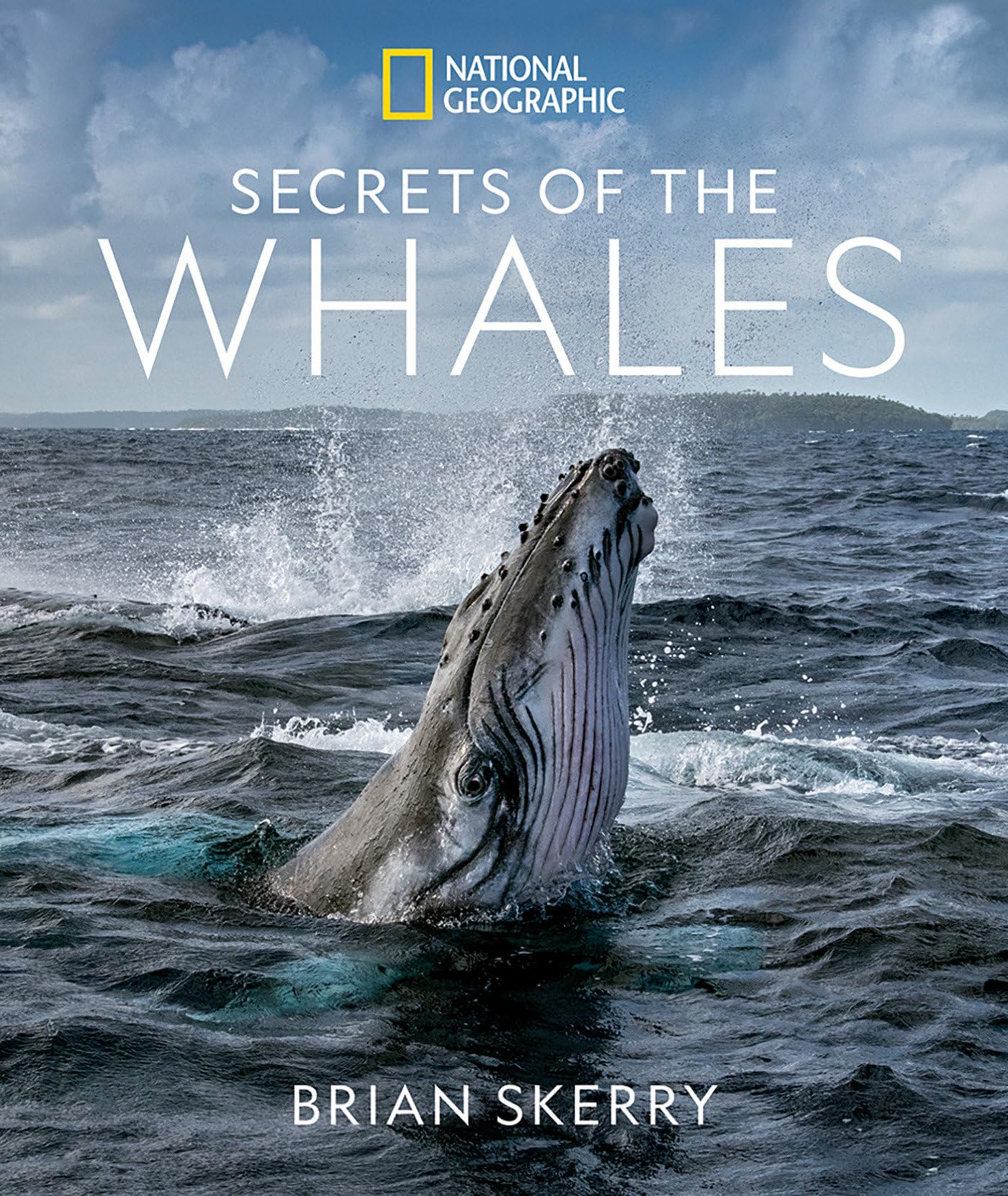 Secrets Of The Whales,New