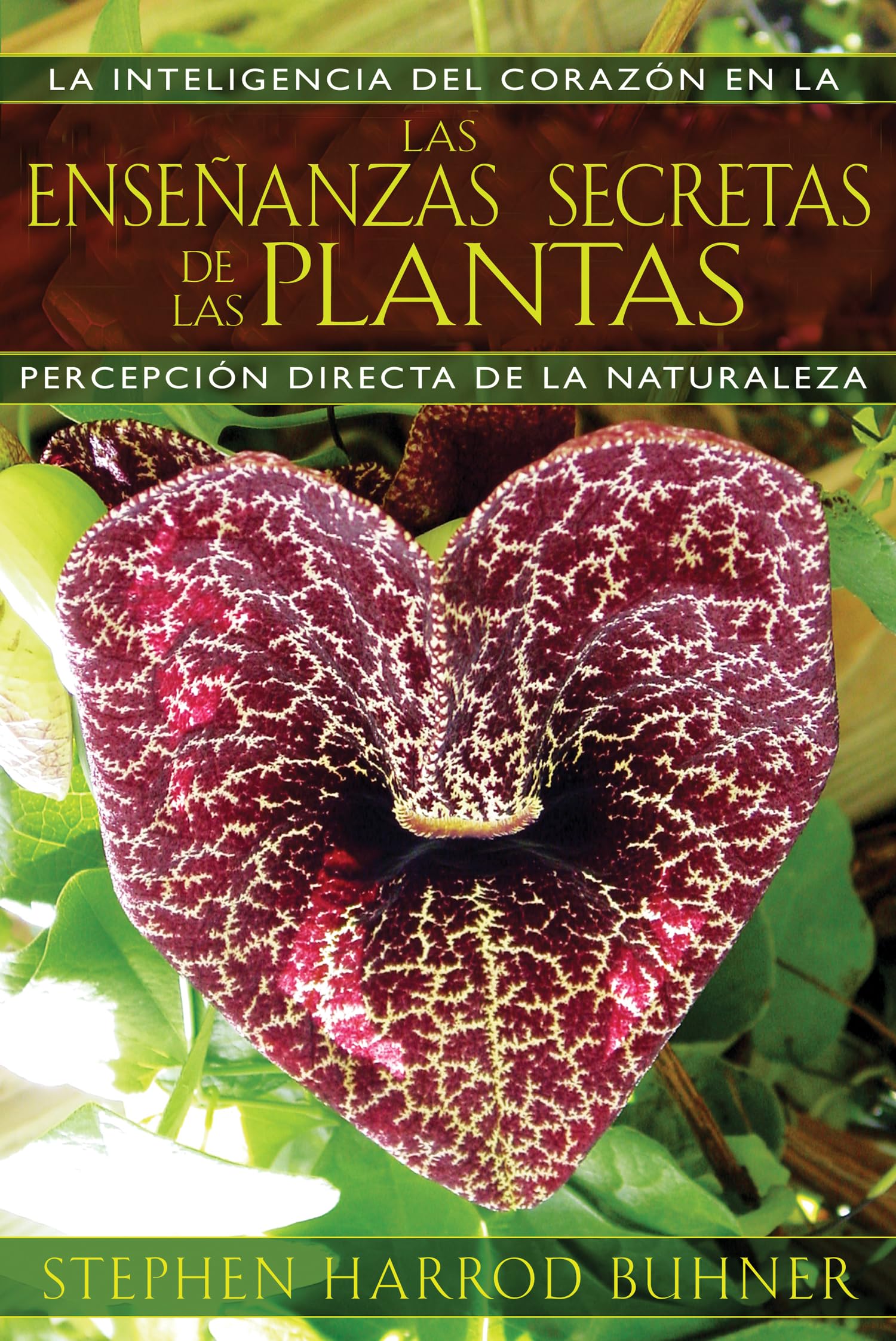 Las Enseanzas Secretas De Las Plantas: La Inteligencia Del Corazn En La Percepcin Directa De La Naturaleza (Spanish Edition)